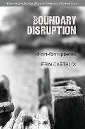 Boundary Disruption de Erin Castaldi