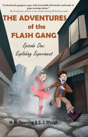 The Adventures of the Flash Gang de S J Waugh