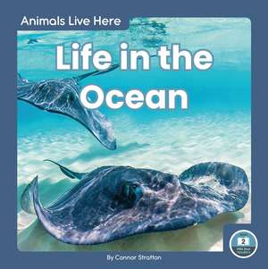 Life in the Ocean de Connor Stratton