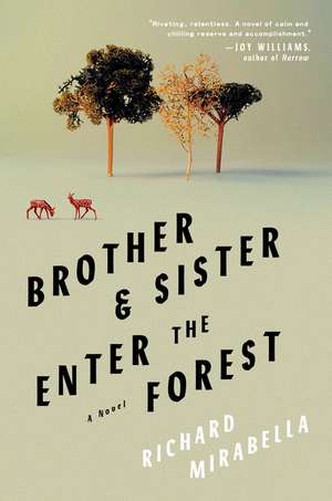 Brother & Sister Enter the Forest: A Novel de Richard Mirabella