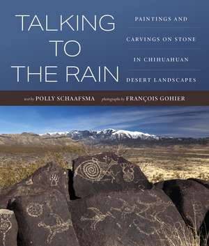 Talking to the Rain: Paintings and Carvings on Stone in Chihuahuan Desert Landscapes de Polly Schaafsma