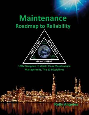 Maintenance Roadmap to Reliability de Rolly Angeles