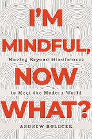 I'm Mindful, Now What? de Andrew Holecek