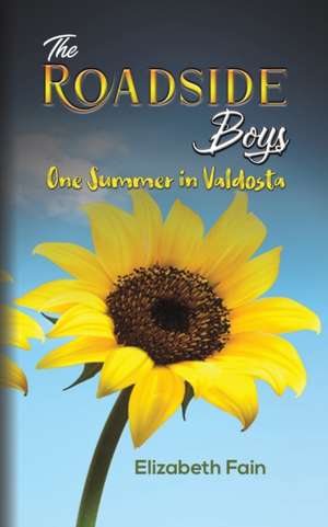 The Roadside Boys de Elizabeth Fain