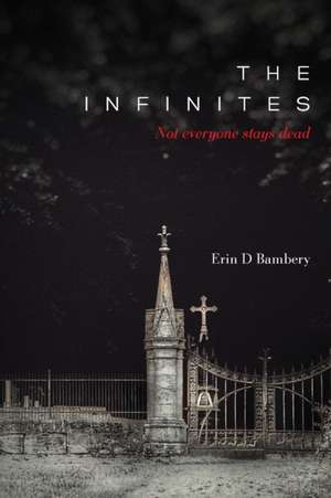 The Infinites de Erin D. Bambery