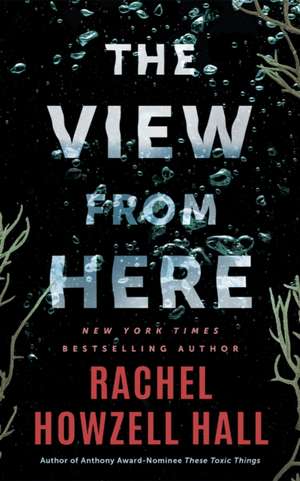 The View from Here de Rachel Howzell Hall