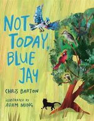 Not Today, Blue Jay de Chris Barton