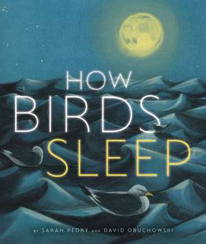 How Birds Sleep de David Obuchowski