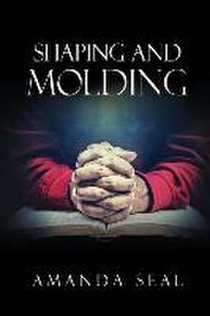 Shaping and Molding: Through the Valleys and Mountains de Amanda Seal