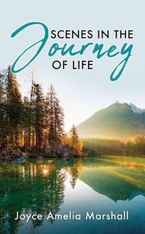 Scenes in the Journey of Life de Joyce Amelia Marshall