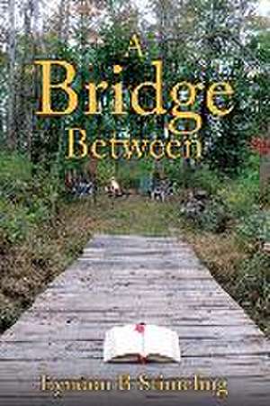 A Bridge Between de Lyndon B. Stimeling