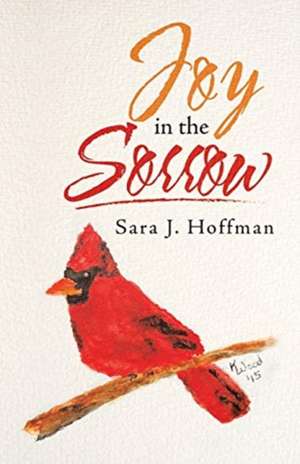 Joy in the Sorrow de Sara J. Hoffman