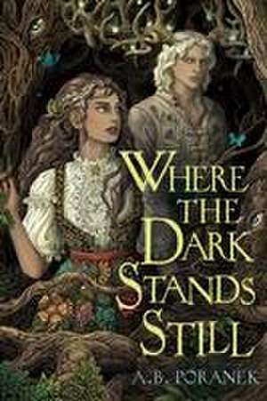 Where the Dark Stands Still de A B Poranek