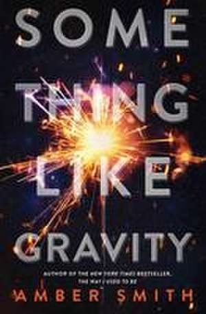 Something Like Gravity de Amber Smith