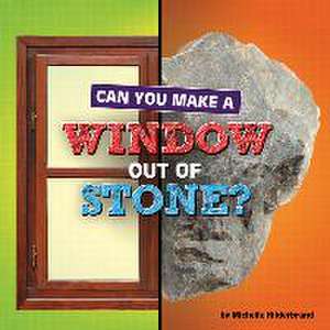 Can You Make a Window Out of Stone? de Michelle Hilderbrand