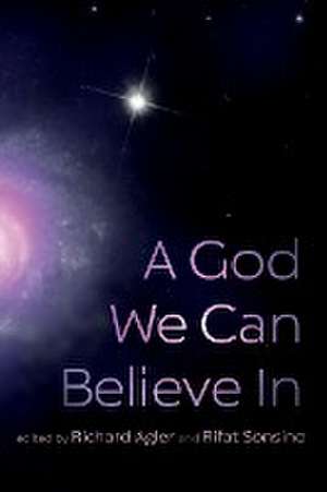 A God We Can Believe In de Richard Agler