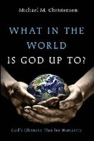 What in the World Is God Up To? de Michael M. Christensen