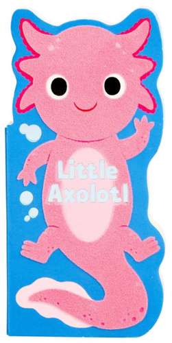 Little Axolotl de Maggie Fischer