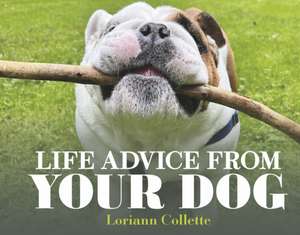 Life Advice from Your Dog de Loriann Collette