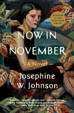 Now in November de Josephine Johnson