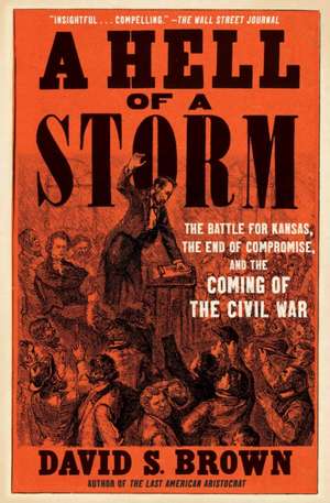 A Hell of a Storm de David S Brown