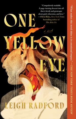 One Yellow Eye de Leigh Radford