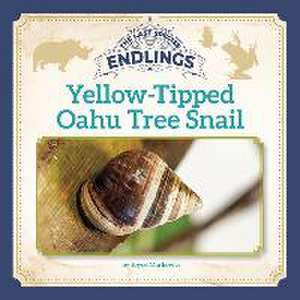 Yellow-Tipped Oahu Tree Snail de Joyce Markovics