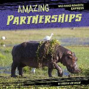 Amazing Partnerships de Virginia Loh-Hagan