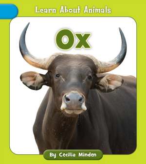 Ox de Cecilia Minden