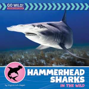 Hammerhead Sharks in the Wild de Virginia Loh-Hagan
