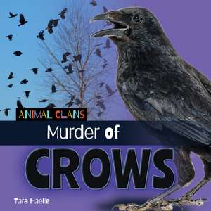Murder of Crows de Tara Haelle