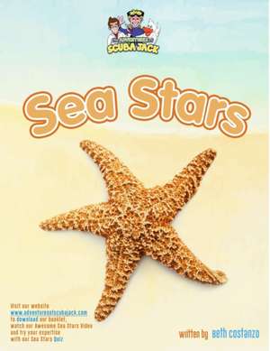 Sea Stars de Beth Costanzo