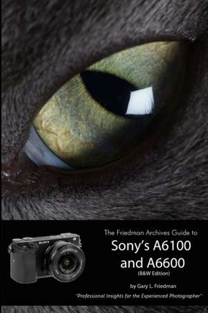 The Friedman Archives Guide to Sony's Alpha 6100 and 6600 (B&W Edition) de Gary L. Friedman