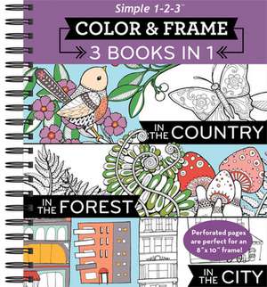 Color and Frame 3 in 1 City de Ltd Publications International