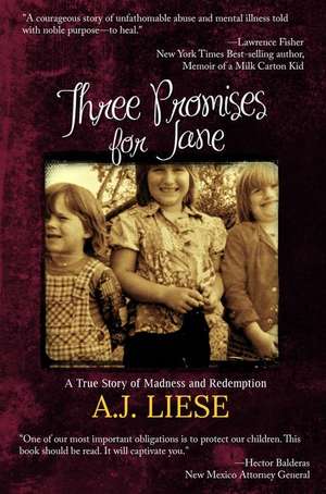 Three Promises for Jane: A True Story of Madness and Redemption de A. J. Liese