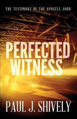 Perfected Witness de Paul J. Shively