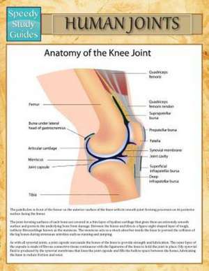 Human Joints (Speedy Study Guide) de Speedy Publishing LLC