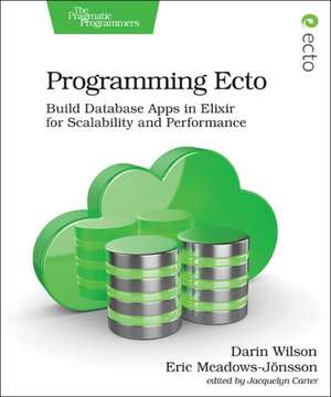 Programming Ecto de Darin Wilson