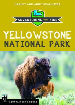 Yellowstone National Park de Harley McAllister