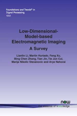 Low-Dimensional-Model-based Electromagnetic Imaging de Lianlin Li