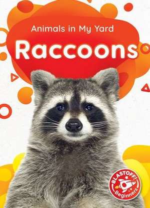 Raccoons de Amy McDonald