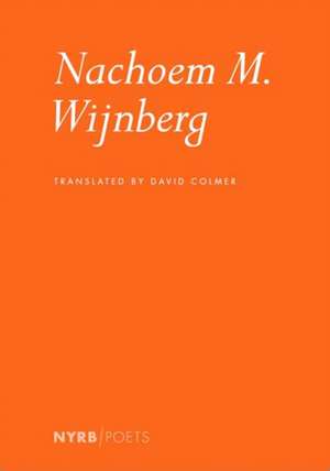 Nachoem M. Wijnberg de Nachoem M. Wijnberg