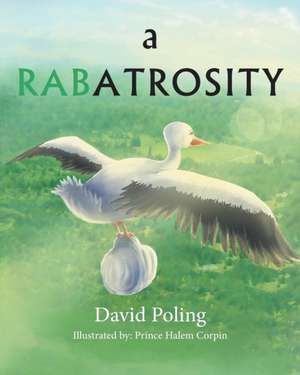 A Rabatrosity de David Poling