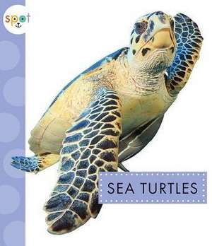 Sea Turtles de Mari C. Schuh