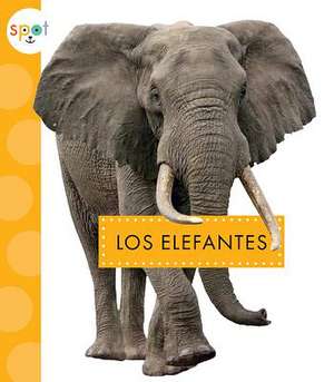 Los Elefantes de Mary Ellen Klukow