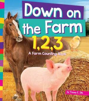 Down on the Farm 1,2,3: A Farm Counting Book de Tracey E. Dils