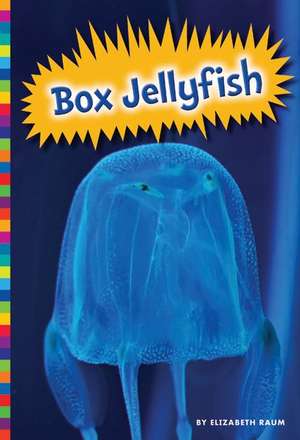 Box Jellyfish de Elizabeth Raum