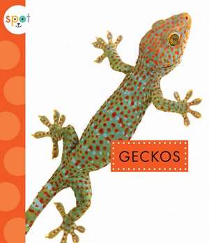 Geckos de Rachel Bach