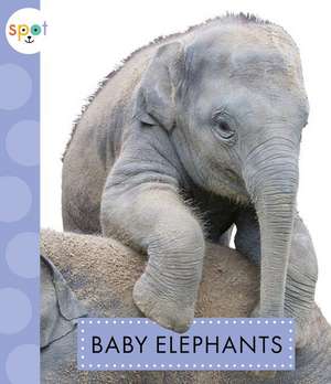 Baby Elephants de K. C. Kelley