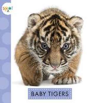 Baby Tigers de K. C. Kelley